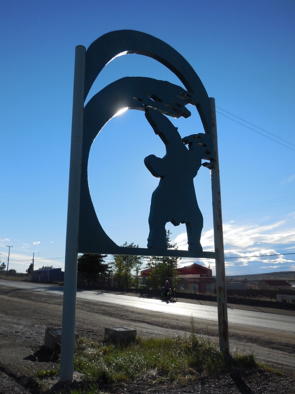 Puerto Natales sloth