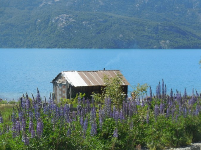 Lago General Carrera 4