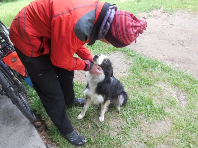 Nancy and the camp dog