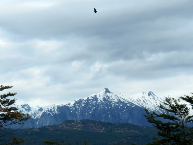 Patagonia mountains 2