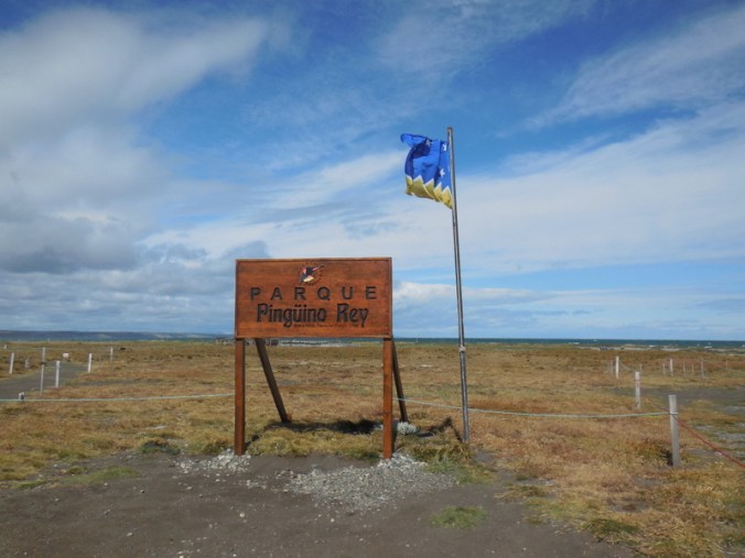 king peguins parq