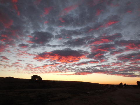 Nullaarbor sunrise