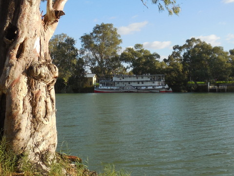 Murray River paddlewheeler 2
