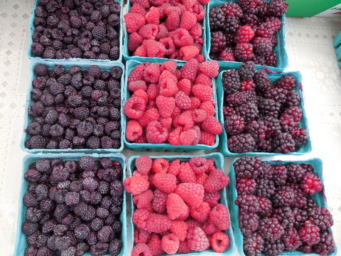 black-raspberries, raspberries and marionberries