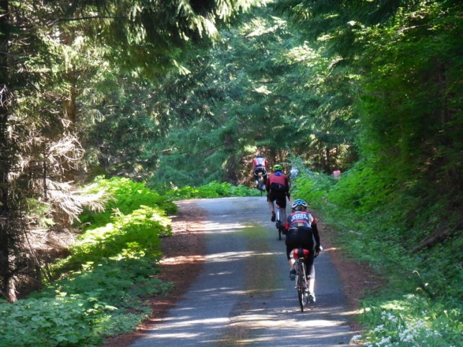Nancy on our goat track