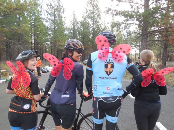 Nossa gives you wings 2-001