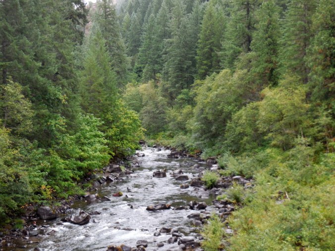 Oregon river-001