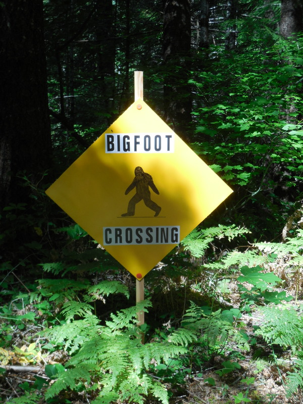 Our first bigfoot sign