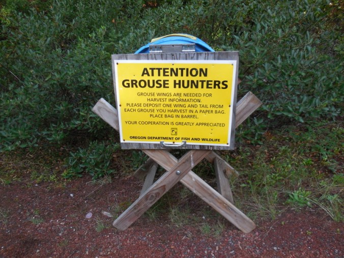 We didn't see any hunters or gruose