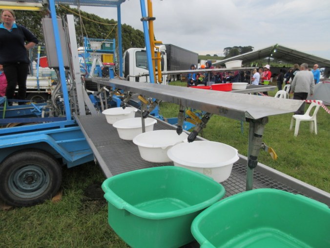 Clothes and later dishes washing area