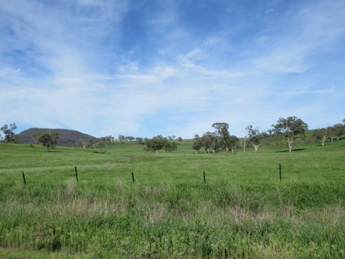 Bylong Valley view 2