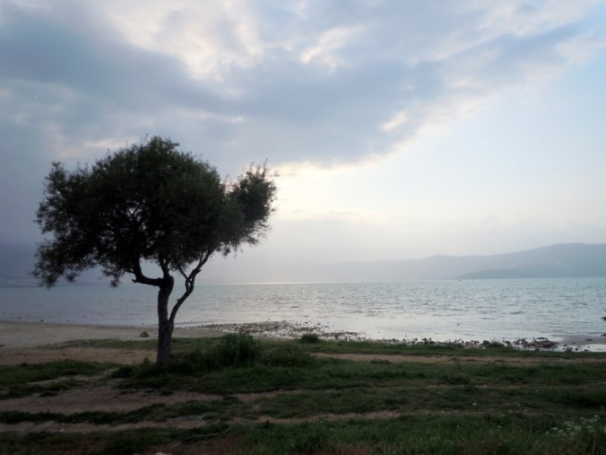 Morning and Didim Bat