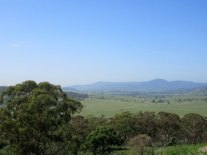 Upper Hunter Views 1