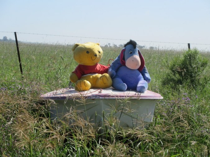 Winnie and Eeyore