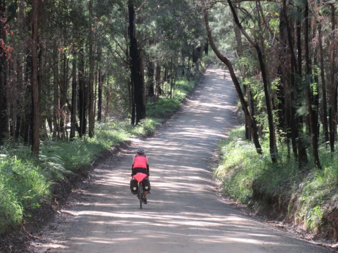 Doctor Seuss forest ride