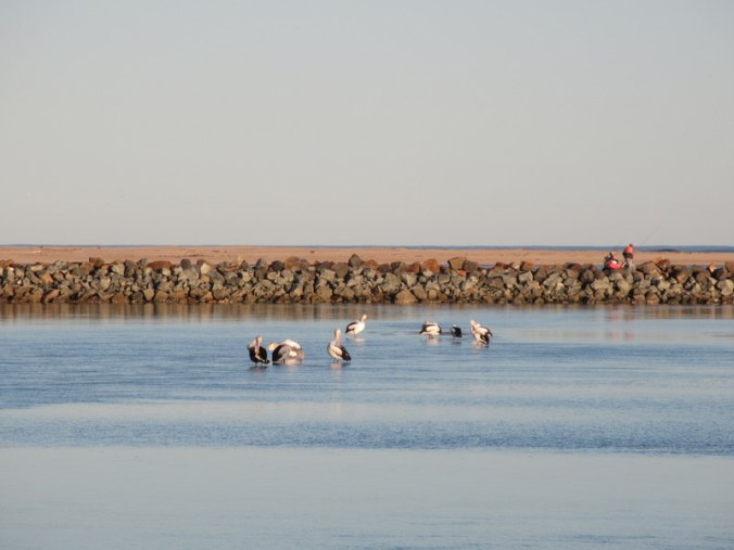 Harrington waterfront 2