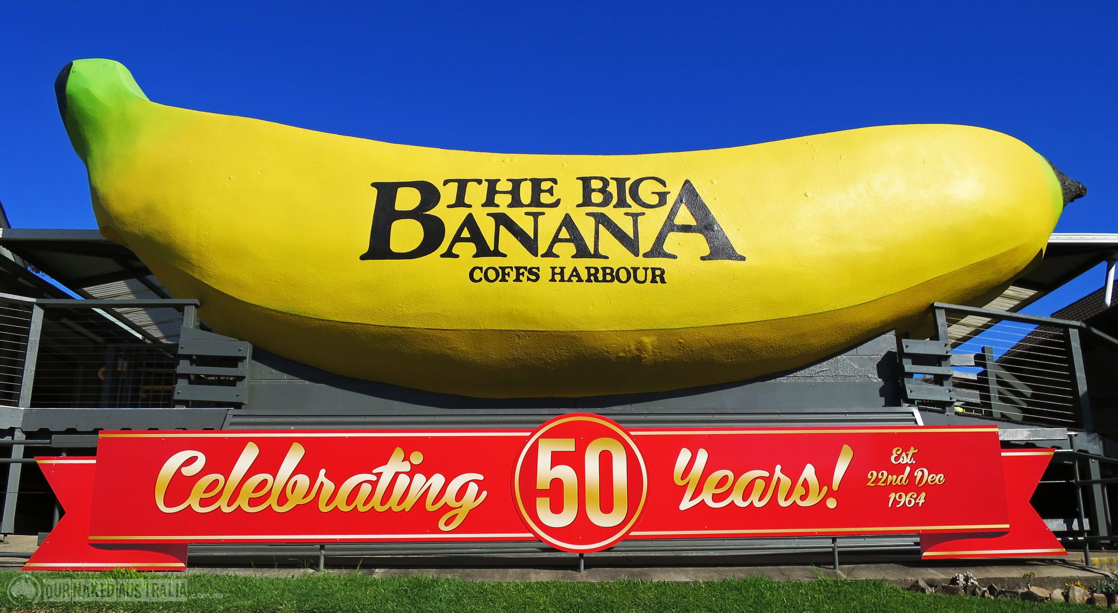 hold-a-sign-outside-of-the-big-banana