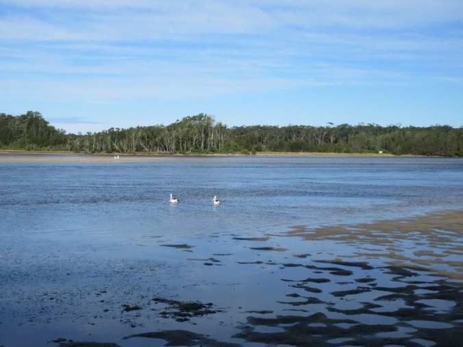 In front of our cabin 1