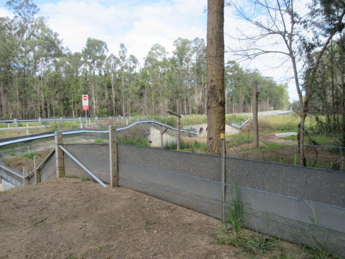 Koala proff fence 4