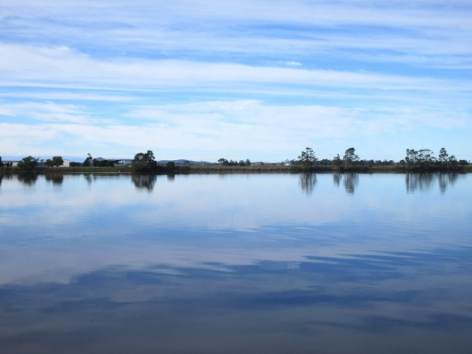 Morning on the Macleay River 3