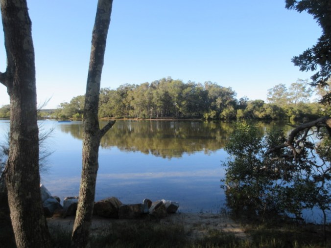 Nambucca River in the morning 1