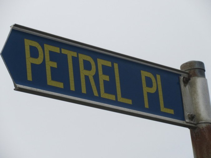 pertel or petrel