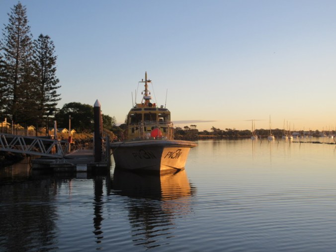 Pilot boat in front of our apartment (2)