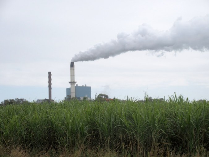 Sugar processing plant