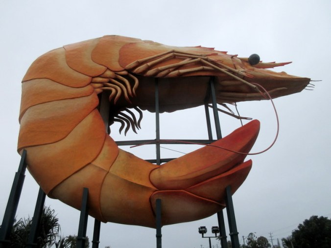 The big prawn 1