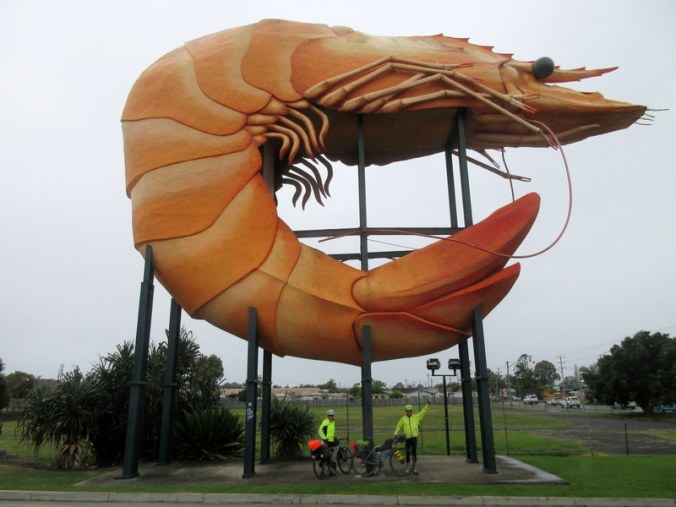The big prawn 2