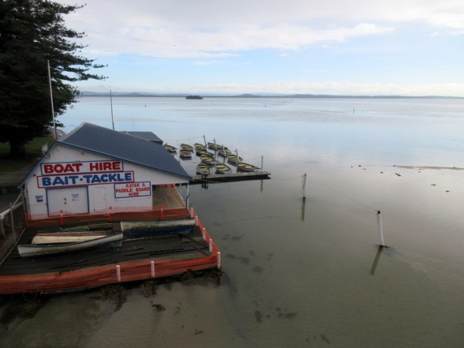 The Entrance Harbour 1