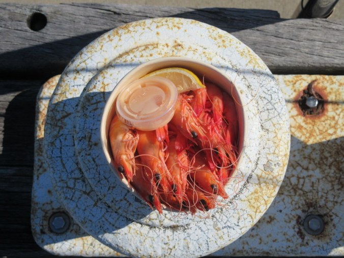 Yamba Prawn - morning tea 1