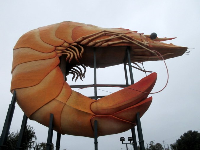The big prawn 1